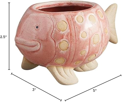 47th & Main Plantas de interior de flores  Maceta de cerámica con forma, 2.5 pulgadas de diámetro x 5 pulgadas de ancho x 3 pulgadas de alto, peces