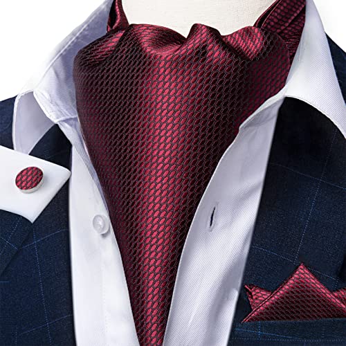 Image of DiBanGu Mens Silk Ascot Ties Paisley Jacquard Woven Cravat and Pocket Square Cufflinks with Lapel Pin for Business Wedding