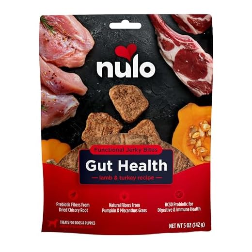 Nulo Functional Jerky Gut Health Lamb & Turkey Dog Treats 5 OZ Bag