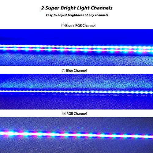 最安値 Lominie 水槽ライト 水中led タイマー付きアクアリウム ライト 10w 水槽照明 54led Ip68防水性 青 Rgb モード 調光可能 ライト 水陸両用 海水魚サンゴタンク用 30cm Ws30 の価格比較 最安値 Lominie 水槽ライト 水中led タイマー付きアクアリウム ライト 10w 水槽照明 54led Ip68防水性 青 Rgb モード 調光可能 ライト 水陸両用 海水魚サンゴタンク用 30cm Ws30 の価格比較