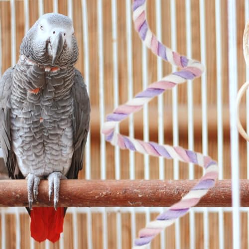 MYCENSE Algodão dobrável corda poleiro, Amazon papagaios de gaiola brinquedo, escada de pássaros par