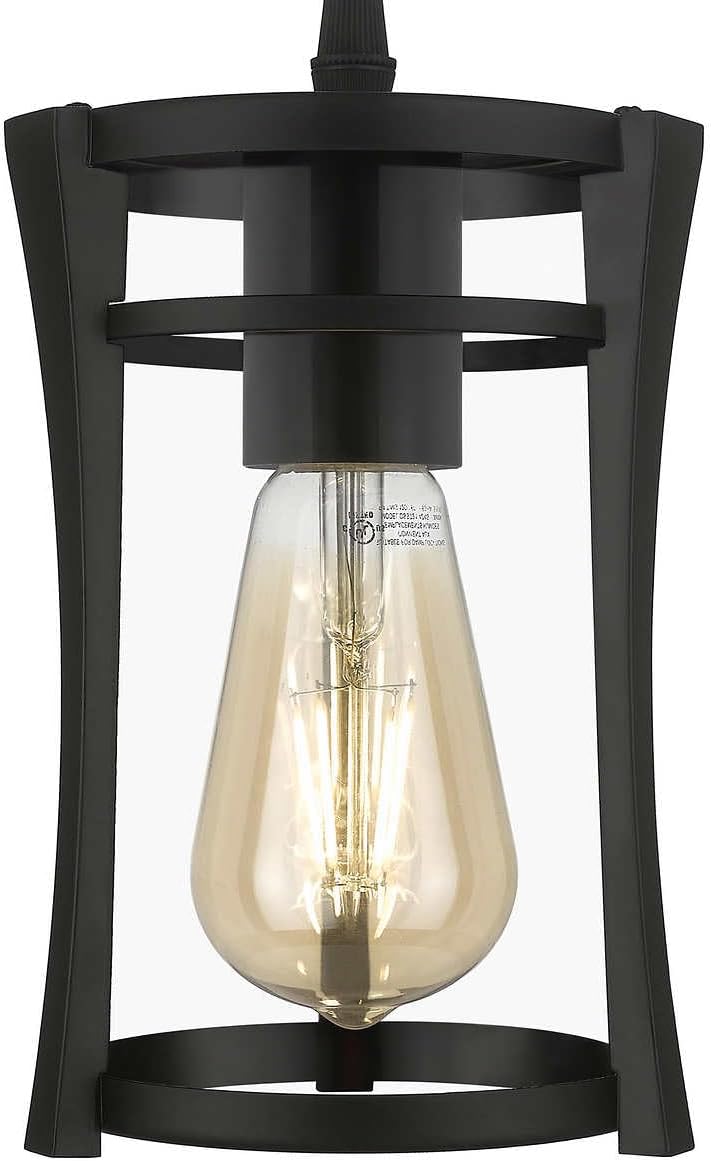 Matte Black Glass LED Pendant Light
