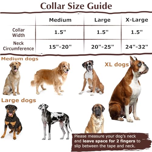 Martingale Dog Collar 1.5” Width – Heavy Duty Adjustable Training Collar with Stylish Red Floral Design – Secure Fit for Medium & Large Dogs – Perfect for Walking, Hunting & Outdoor Adventures M