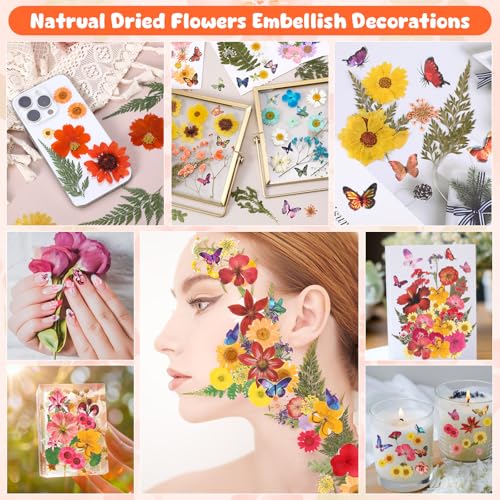 Flores Secas Presionadas AmazingSpark 650 piezas para manualidades miniatura 6