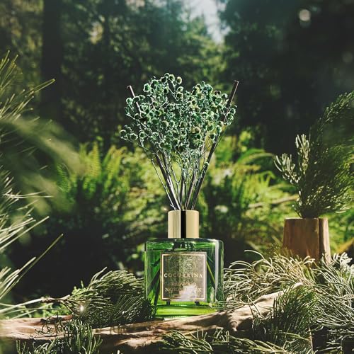 Image of COCORRINA Reed Diffuser - Redwood National Park 6.7 Fl.oz Reed Diffuser Set with 8 Sticks & Preserved Baby's Breath, Reed Diffuser for Home Bathroom Shelf Decor