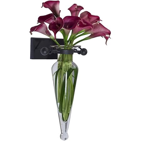 Amazon Com Danya B Mc016 裝飾壁掛amphora 玻璃花瓶附鐵孔裝飾 透明 花瓶壁飾 居家與廚房