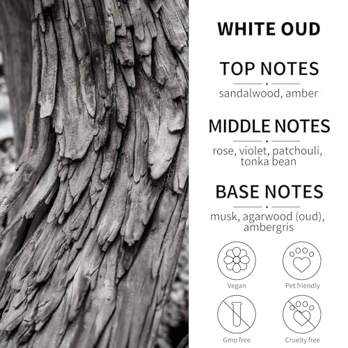 Image of 2-Pack Car Fresheners Long Lasting & Car Deodorizer - White Oud Hanging Car Air Freshener for Men and Women, Car Necessities & Scent Diffuser by VUTOLLOSA