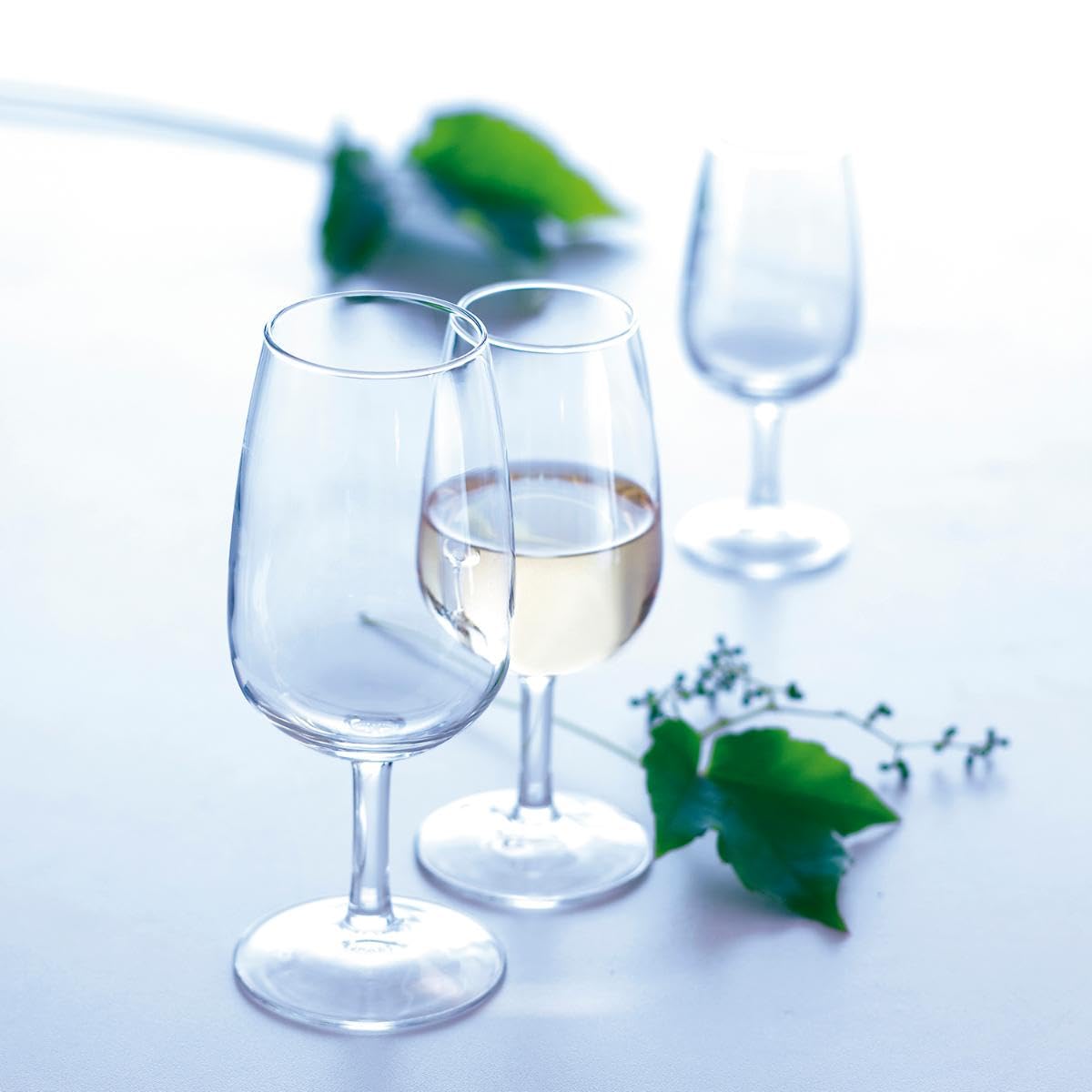 Arcoroc Set de 6 copas de vino Viticole de vidrio 31 cl | Transparente, Vidrio, formato alto, acabado brillo, 31 cl, 6 piezas, apto para frigorífico, fácil de limpiar