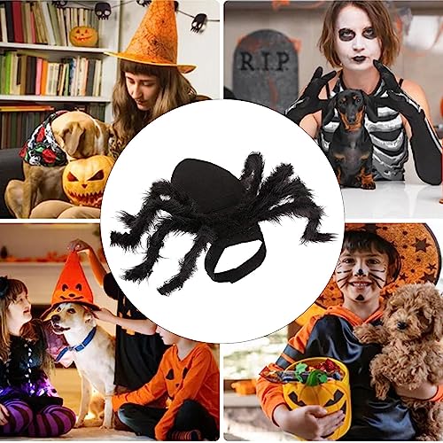 Stronrive Halloween Spinnenkostüm für Hund & Katze - Plüsch Spinne Kostüme für Haustiere