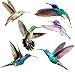 Hummingbird Window Clings - 6 x Anti Collision Decals to Prevent Bird Strikes on Doors & Windows - Static, UV Resistant & Non Adhesive Vinyl Cling - Deterrent Decal & Glass Decor to Alert Birds