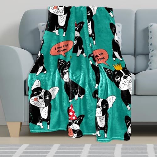 Couverture bouledogue noir plaid de canapé chaud pour salon et bureau
