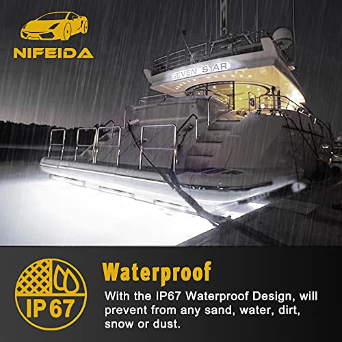 image for nifeida 8