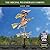 Good Directions Witch Weathervane with Roof Mount, Pure Copper