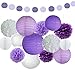 Fascola 16 Pcs Tissue Paper Pom Poms Flowers Paper Lanterns and Polka Dot Paper Garland for Wedding Party Decorations