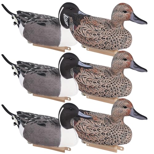 Mallard Duck Decoys - EVA Collapsible, Easy Transport