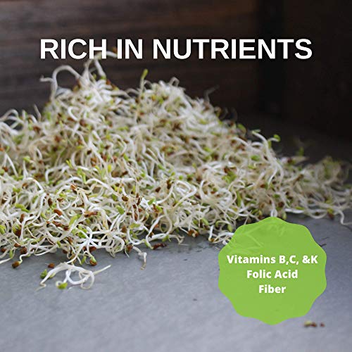Organic Alfalfa Sprouting Seed- 35 Lbs - Organic - High Sprout Germination- Edible Seeds, Gardening, Hydroponics, Growing Salad Sprouts, Planting, Food Storage & More