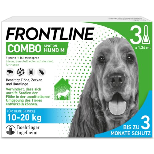 Hunde allergien test bei menschen