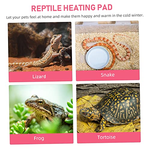 Accesorios 9pcs para terrario de tortuga y lagarto miniatura 2