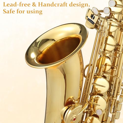 Tenor Saxophone for Beginner Kit with Cleaning Cloth, Case, Mouthpiece, Neck Strap, Reeds by MilleLoom - Image 3