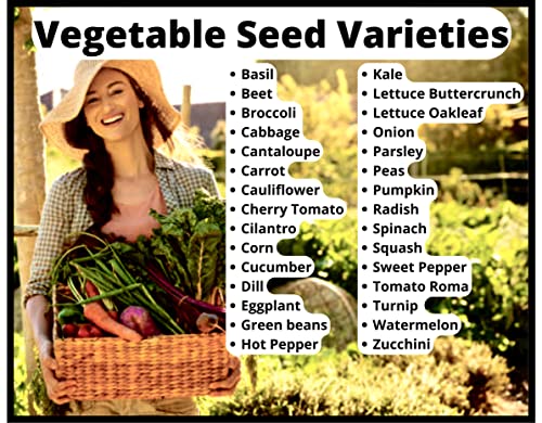 30 Vegetable & Fruit Seeds For Planting Your Outdoor & Indoor Home Seed Garden, Survival Gear Kit Includes 5900 Seeds, A Growing Guide & Mylar Package Gardening Heirloom Non-Gmo Veggie Seed B&Km Farms #TOP3