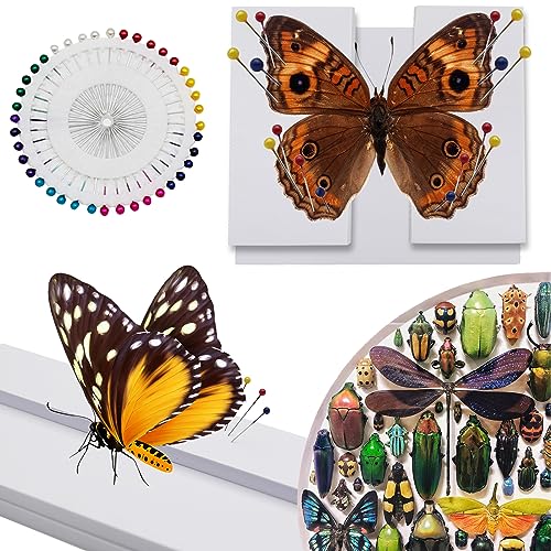Image of Saihisday Insect Pinning Board, EVA Insect Specimen Plates, Butterfly Mounting Spreading Board, Making Insect Specimen Tools Kit, Insect Display Case Box for Science Bugs Collection Biology Projects