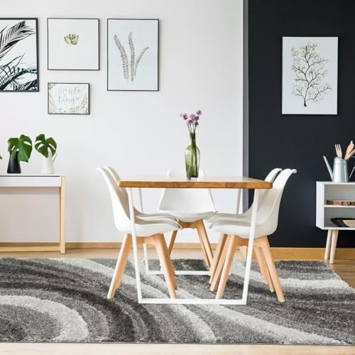 Image of Soft Shaggy Carpet 5x7 Feet - Ultra Plush, Non-Slip, High Pile 2 Inch Microfiber Rug for Bedroom, Living Room, Kids Room & Office - Modern Cozy Floor D�cor (Gray Silver C)
