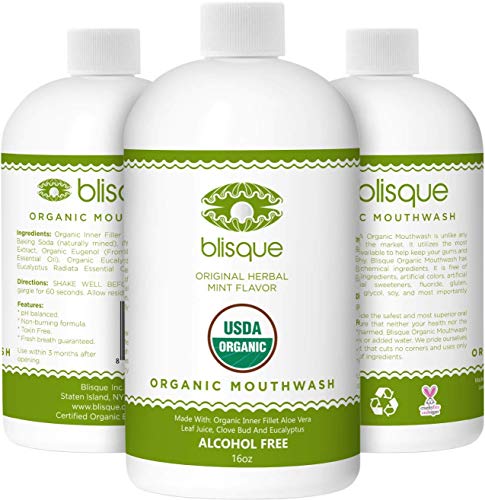 Blisque Organic Mouthwash - 1 Bottle - With Aloe Vera, Clove and Eucalyptus