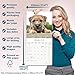 Border Terrier 2026 Calendar | Square Wall Calendar | Dog Breed Gift | Plastic Free Packaging | by Avonside Publishing
