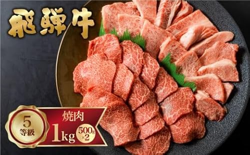 飛騨牛 霜降り(ロース・カタロース)/赤身(モモ・カタ) 焼肉 計1kg バーベキュー BBQ やきにく A5 5等級 肉 牛肉 和牛 国産 食べ比べ 冷凍