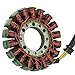 Caltric Stator Compatible With Honda Cbr1000Rr Cbr1000 Cbr 1000 Rr 2004-2007