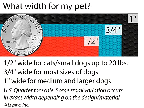 Lupine Small Adjustable Dog Harness in 3/4" Wide Petunias 12-20" Girth by LupinePet - Image 3