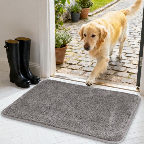 AUAUY Fußmatte für Innen- und Außenbereich, rutschfest...