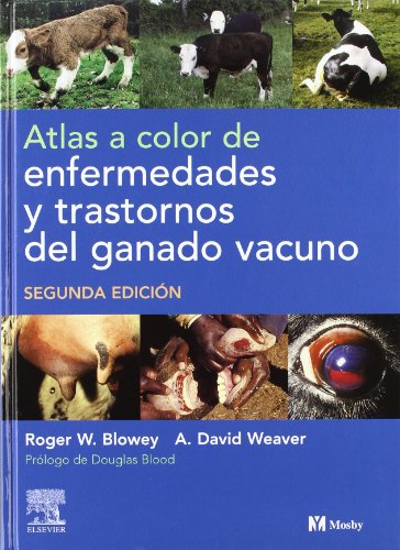 Atlas En Color De Enfermedades Y Trastornos Del Ganado Vacuno