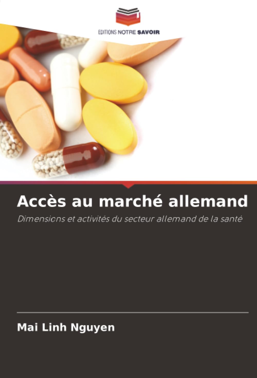 Accès au marché allemand: Dimensions et activités du secteur allemand de la santé