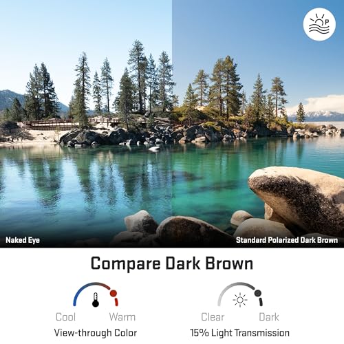 Image of Revant Replacement Lenses for Wiley X Saint