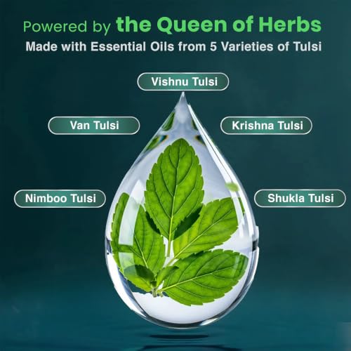 Image of BabyOrgano PanchTulsi Drops Contains Extracts of 5 Rare Tulsi | Boosts Immunity | Cough And Cold Relief | 100% Ayurvedic | Builds Respiratory Health