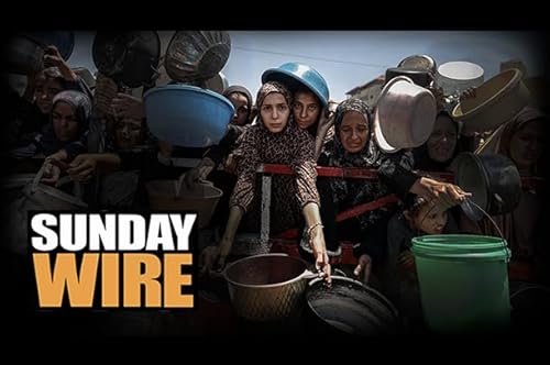 SUNDAY WIRE: EP 557 'Inhumanity Inc' with Patrick Henningsen and guests Podcast Por  arte de portada