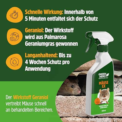 Mäuse Ex Spray zur Mäuseabwehr & Rattenabwehr, 500 ml Mäuseschreck gegen Mäuse & Ratten, Abwehrmittel für Haus, Dachboden, Garten & Outdoor, Mäusespray zum Vertreiben und als Abschreckung