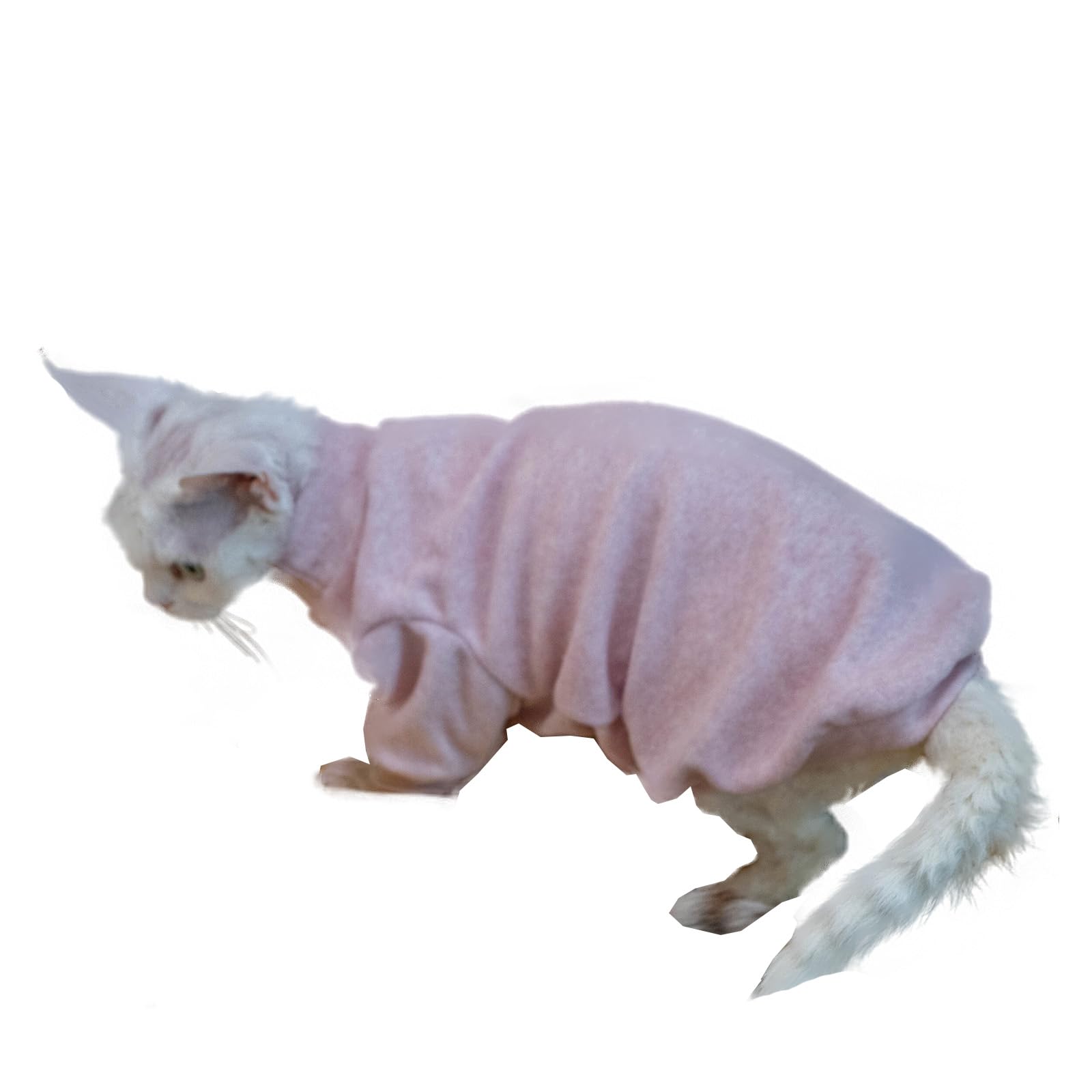 T-shirt pour chat sans poils pour protéger la peau sensible du Sphynx contre le froid