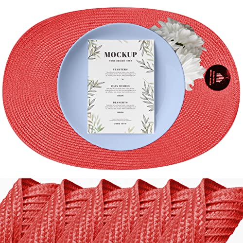 DALINA Textil Juego de 6 Manteles Individuales PP Antideslizante, Salvamanteles, Resistentes al Calor, Lavables para Cocina y Comedor 30x45 (Ovalado Rojo)