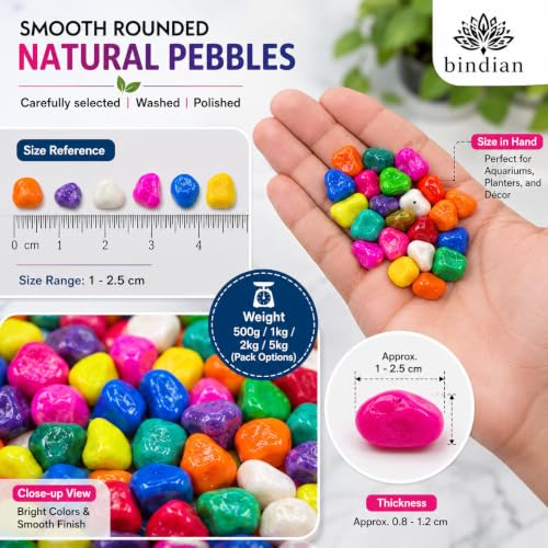 Image of Bindian Decorative Pebble Stone, Multicolour, Natural Stone, Smooth & Polished, for Aquarium, Garden, Plant Pot, Fountain Decor (3 Kg, Multicolor)