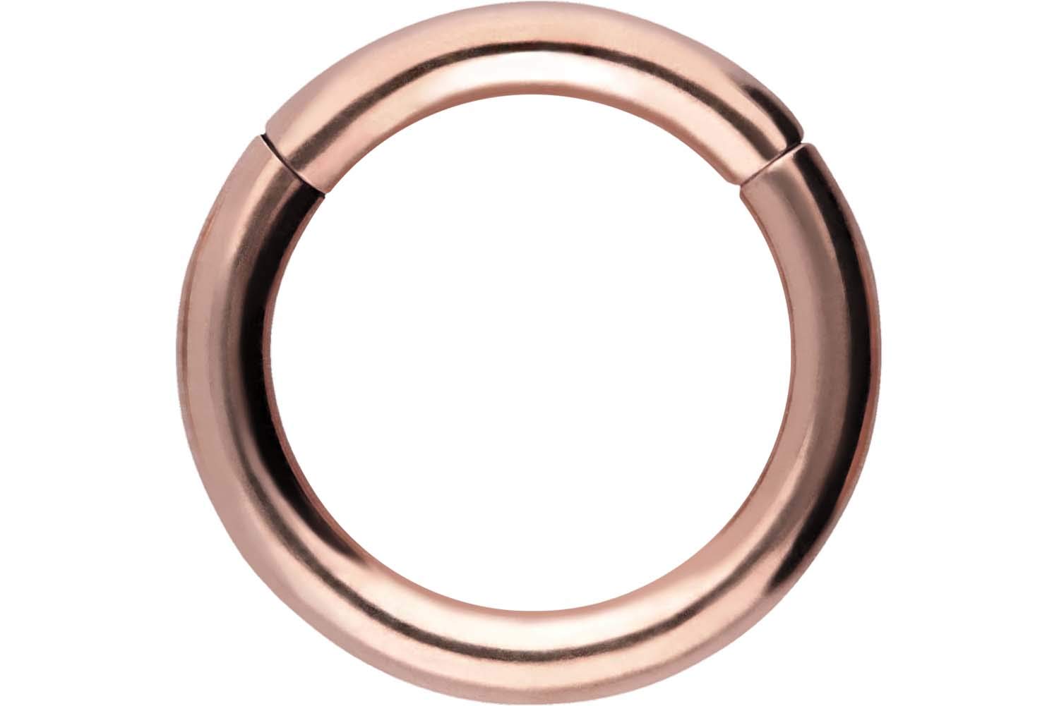 PIERCINGLINE Anillo segmento Clicker de acero quirúrgico – Piercing en oro, plata, rosa, negro o azul – para nariz, tabique, oreja, hélice o tragus — view 111