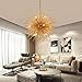 KAKEEL Golden Sputnik Chandelier Ceiling Light Lamp Pendant Lighting Fixture E14 Light (Dia 22-Inch)