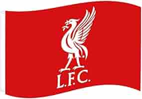 Amazon | Forever Collectables Liverpool Fc Core Crest Flag