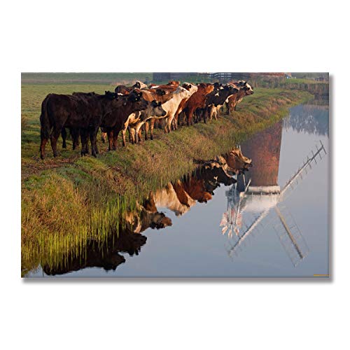 Toile Vache des Highlands affiche d'art grand format pour décoration maison