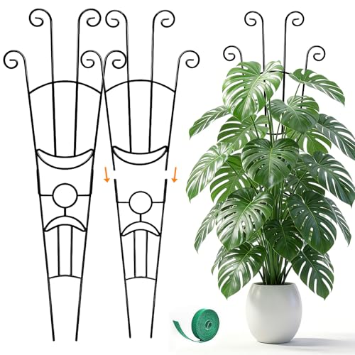 Monstera Plant Support - 32.6 Inch Tall Trellis with 2 Pack Plant Stakes for Your Large Climbing Monstera Deliciosa | Indoor Plant Climbing Frame for Potted Growth