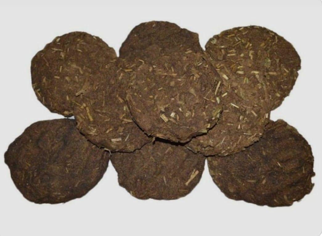 Buffalo Dung Cake for puja-image-5