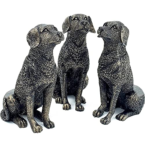 Pieds de pot de plante de chien de Labrador, support de support de pot de plante, 3 orteils de pot de résine en forme de chien améliorent la circulation d'air et le drainage Cover