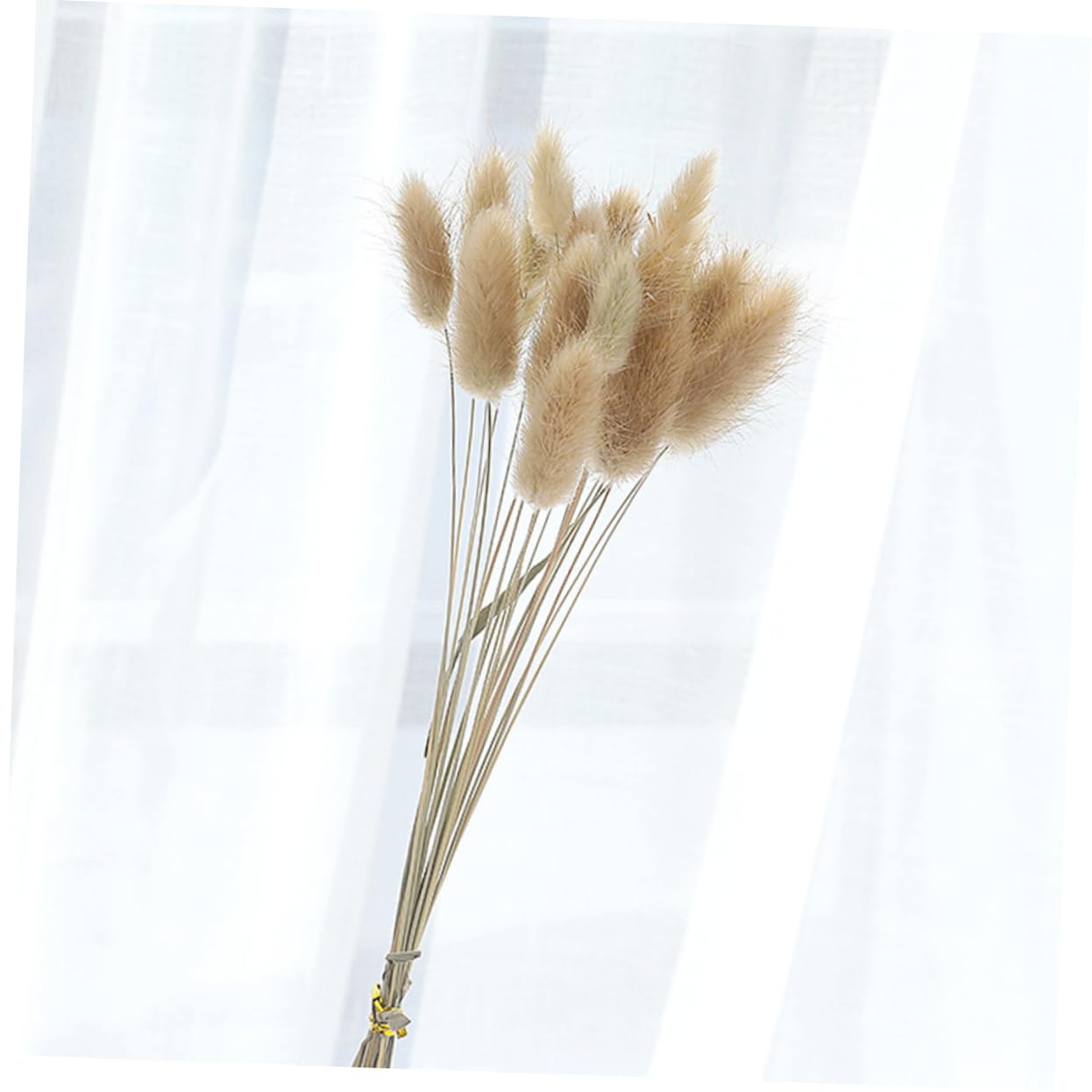 Abaodam 3pezzi Mazzi Di Fiori Secchi Pennisetum e Coniglio Per Decorazioni Naturali Bouquet Di Grano Per Casa e Matrimonio Decorazioni Per Ambienti Boho e Rurali