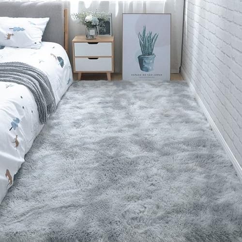 Tapis rectangulaire lavable pour éliminer la saleté dans un salon moderne